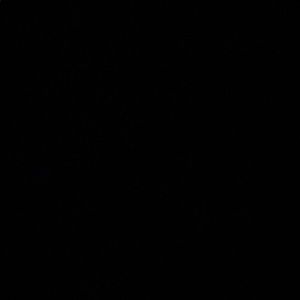 Meet your Posher, Joshua